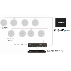 Dàn loa Bose DM2C-LP