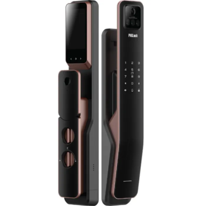 Khóa nhận diện khuôn mặt PHGLock FL6617A APP